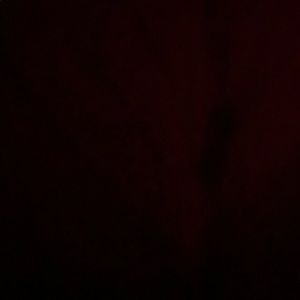 Meet your Posher, Kelsi